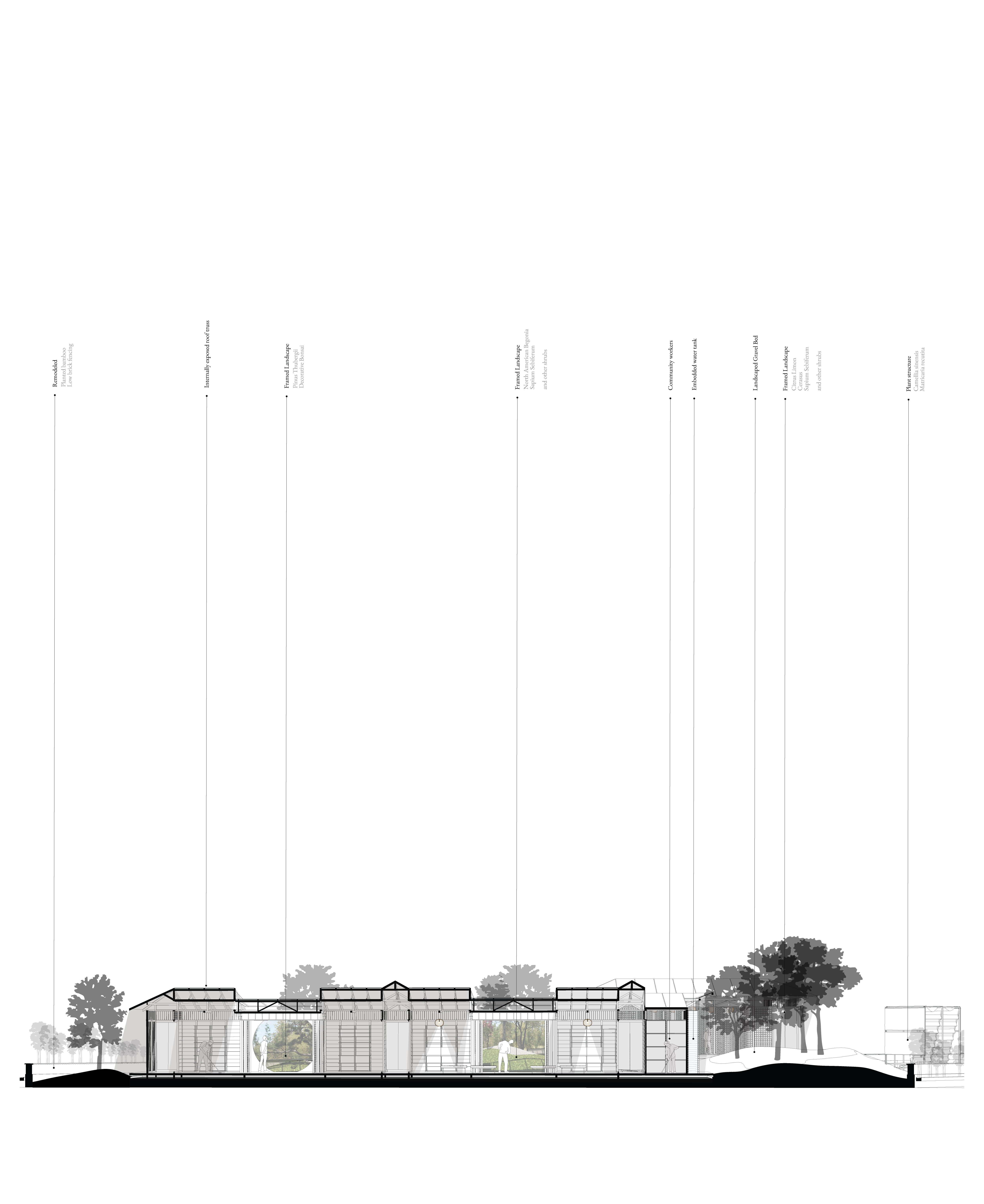 section view towards curated gardens